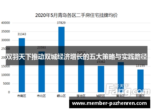 双羽天下推动双城经济增长的五大策略与实践路径