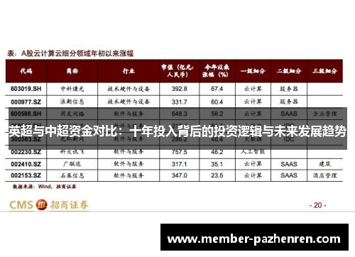 英超与中超资金对比：十年投入背后的投资逻辑与未来发展趋势
