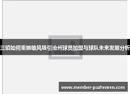 三镇如何重振雄风吸引沧州球员加盟与球队未来发展分析