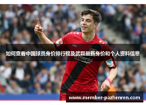如何查看中国球员身价排行榜及武磊最新身价和个人资料信息