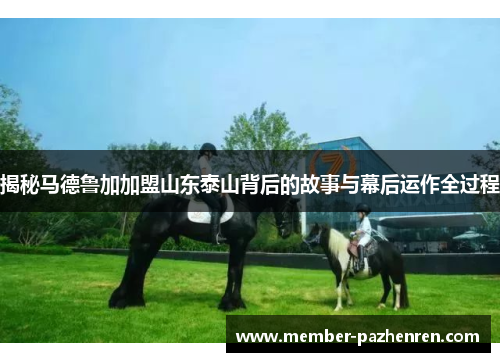 揭秘马德鲁加加盟山东泰山背后的故事与幕后运作全过程