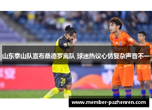 山东泰山队宣布桑德罗离队 球迷热议心情复杂声音不一