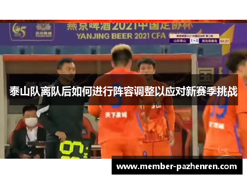 泰山队离队后如何进行阵容调整以应对新赛季挑战