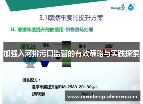 加强入河排污口监管的有效策略与实践探索