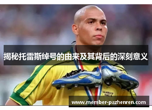 揭秘托雷斯绰号的由来及其背后的深刻意义 揭秘托雷斯绰号的由来及其背后的深刻意义