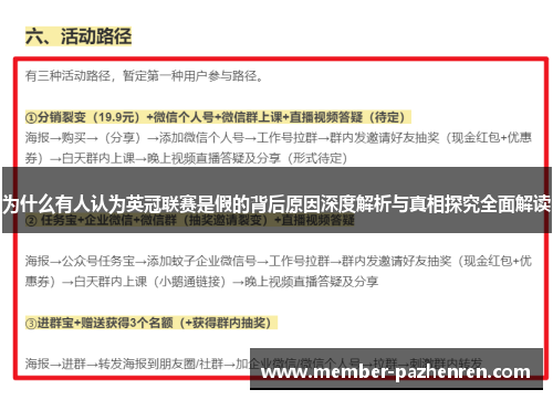 为什么有人认为英冠联赛是假的背后原因深度解析与真相探究全面解读