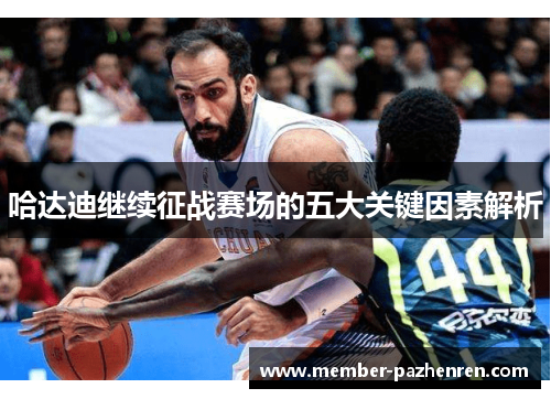 哈达迪继续征战赛场的五大关键因素解析 哈达迪继续征战赛场的五大关键因素解析