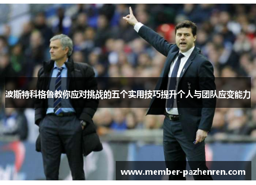 波斯特科格鲁教你应对挑战的五个实用技巧提升个人与团队应变能力